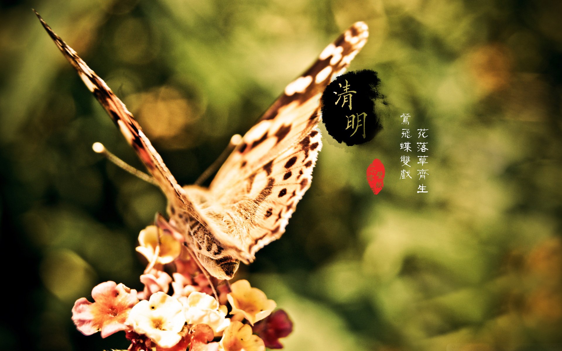 清明节带字图片素材