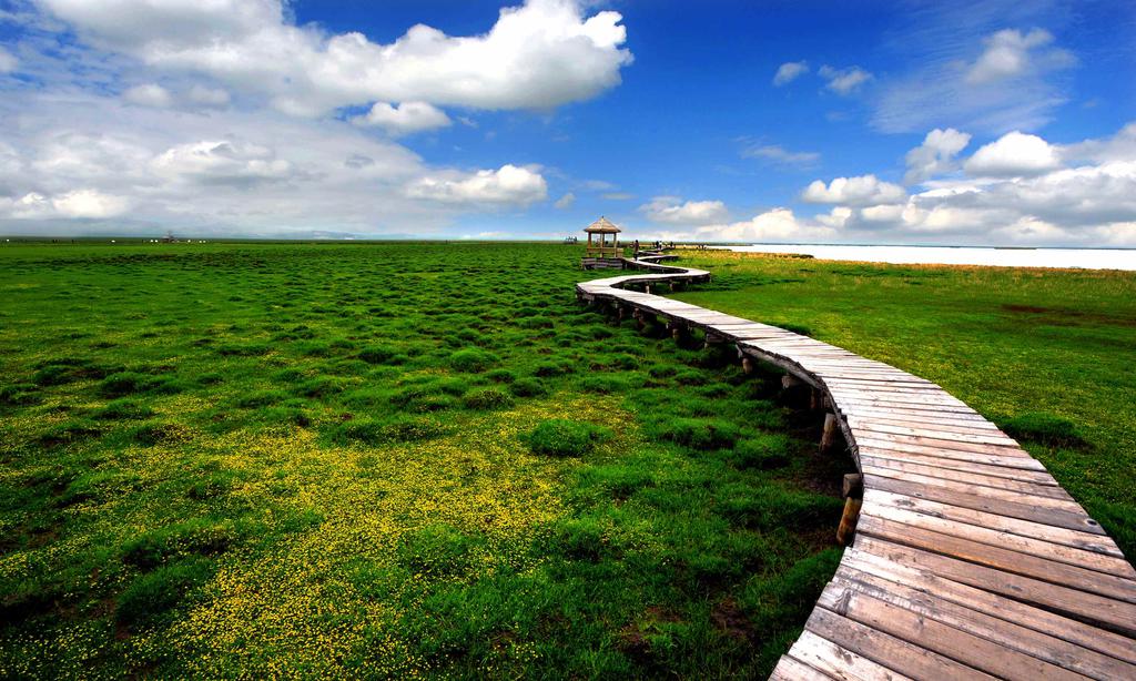 清明节之草原踏青图片,高清图片-壁纸族