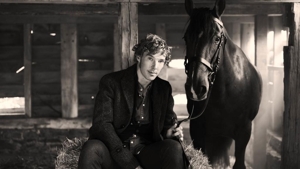 本尼迪克特·康伯巴奇壁纸