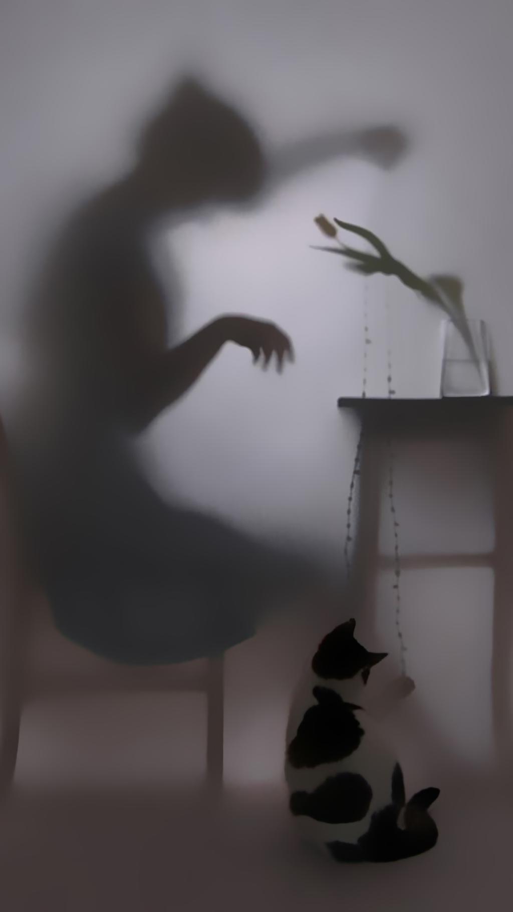 剪影下的女人手机壁纸