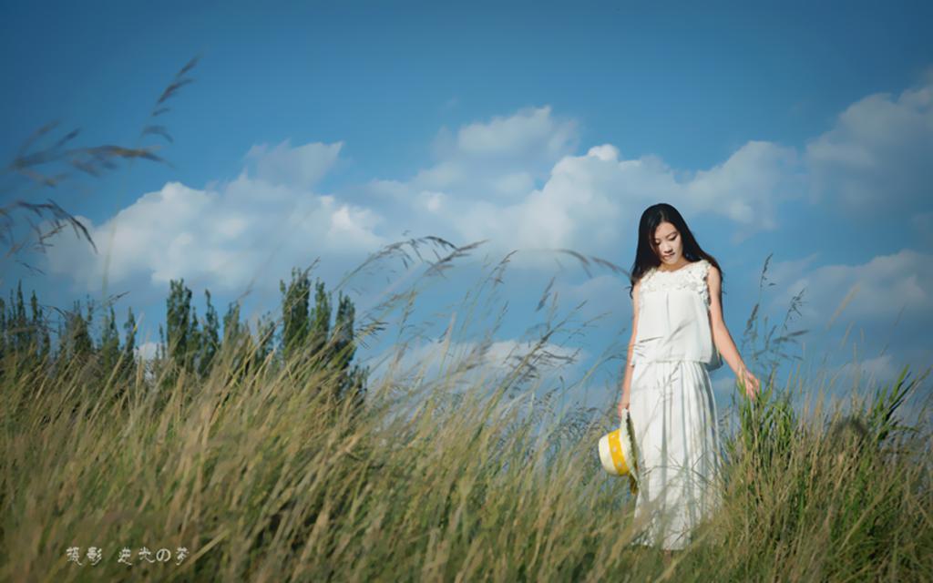 夏天的风摄影壁纸