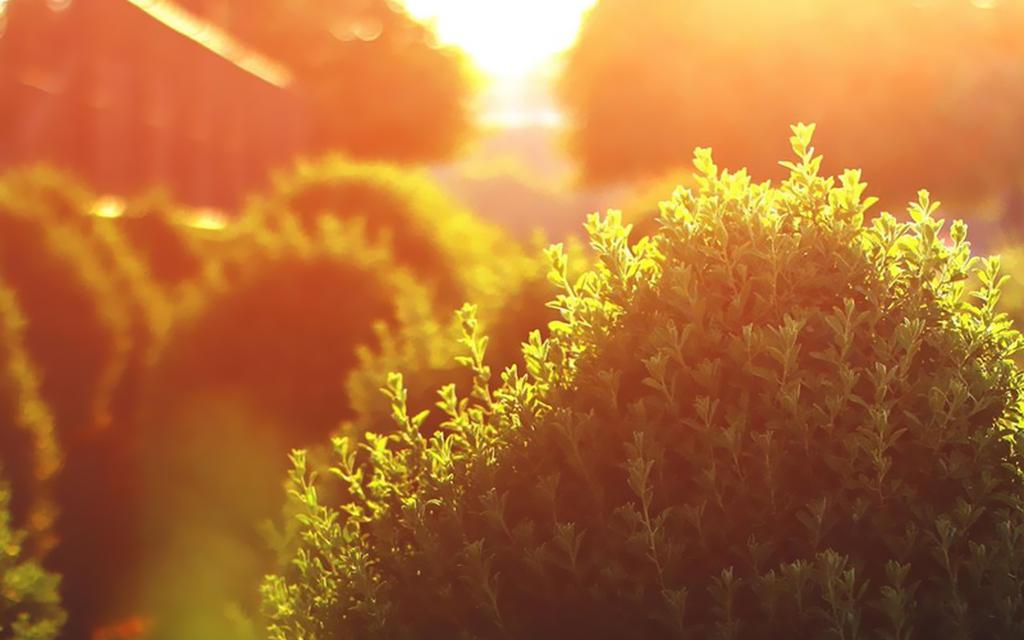 温暖阳光夏天风景壁纸
