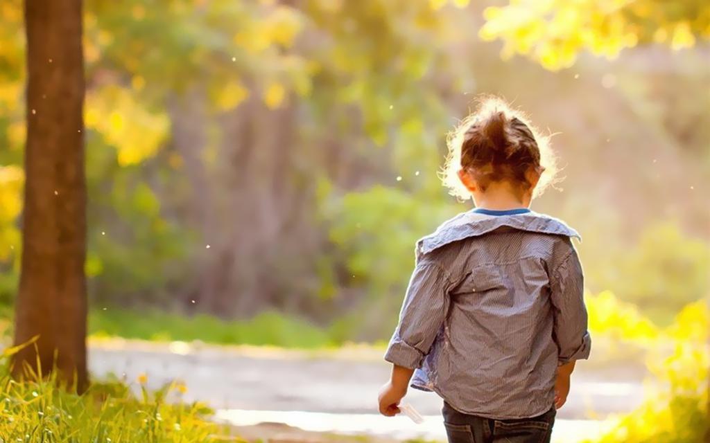 温暖阳光夏天风景壁纸