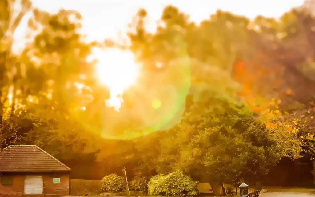 温暖阳光夏天风景壁纸