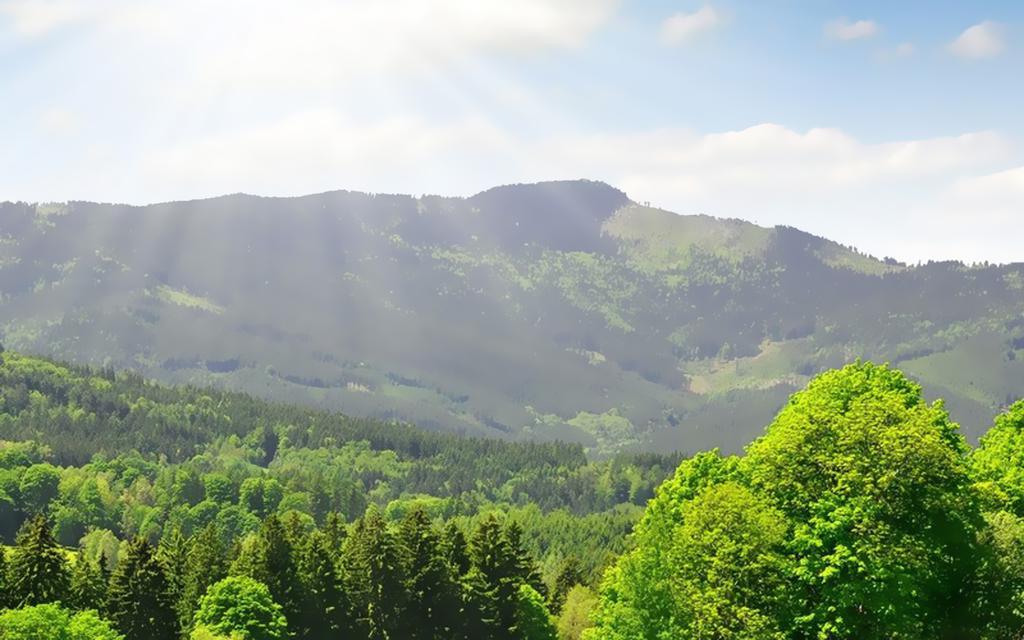 温暖阳光夏天风景壁纸