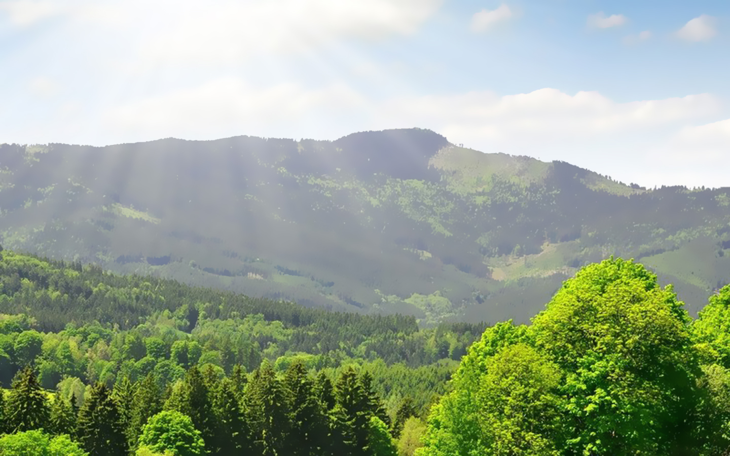 温暖阳光夏天风景壁纸