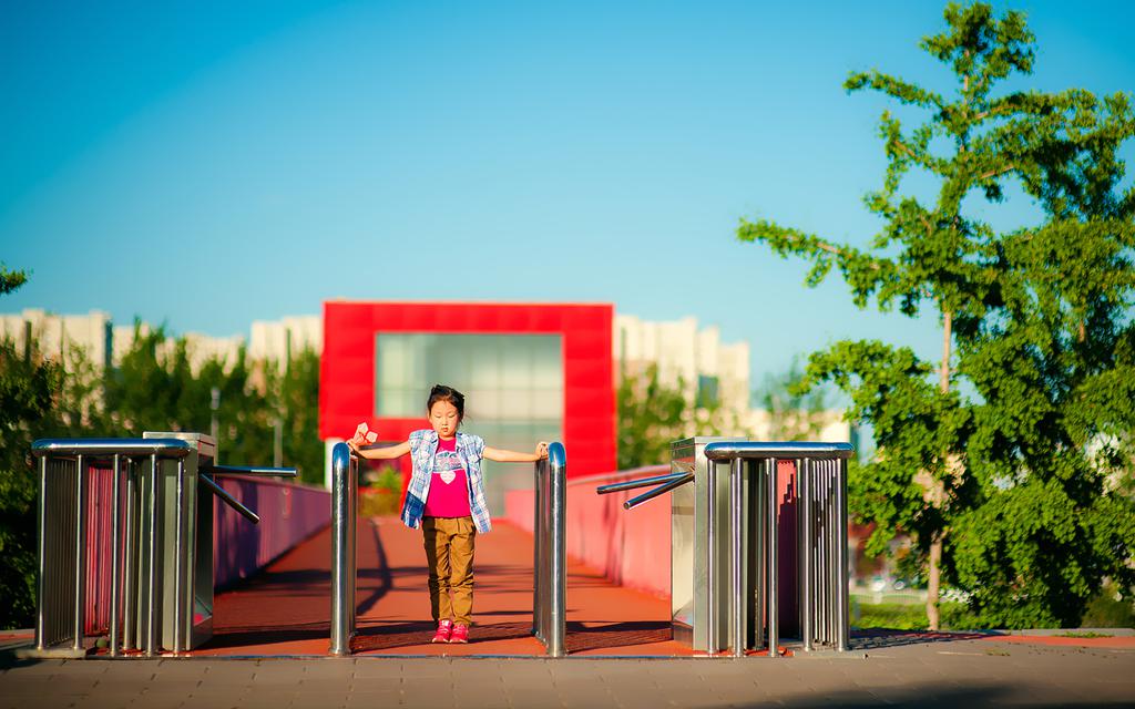 夏天温暖阳光风景壁纸