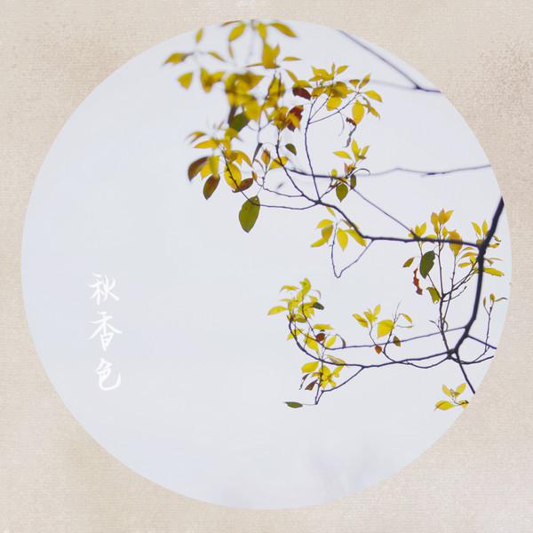 生活中的色彩图片