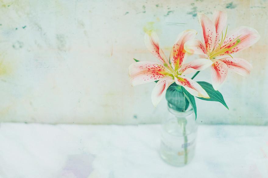 小清新淡雅花卉图片