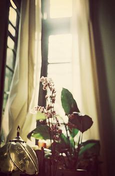 窗户lomo风格手机壁纸