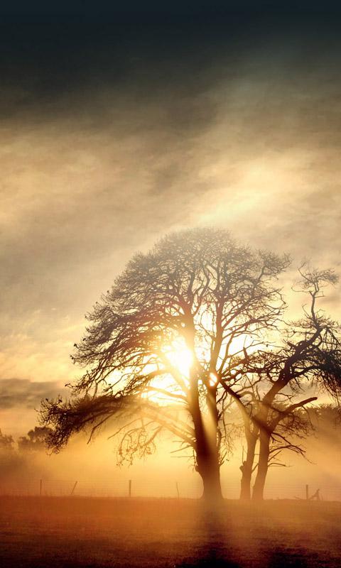 过往回忆手机壁纸