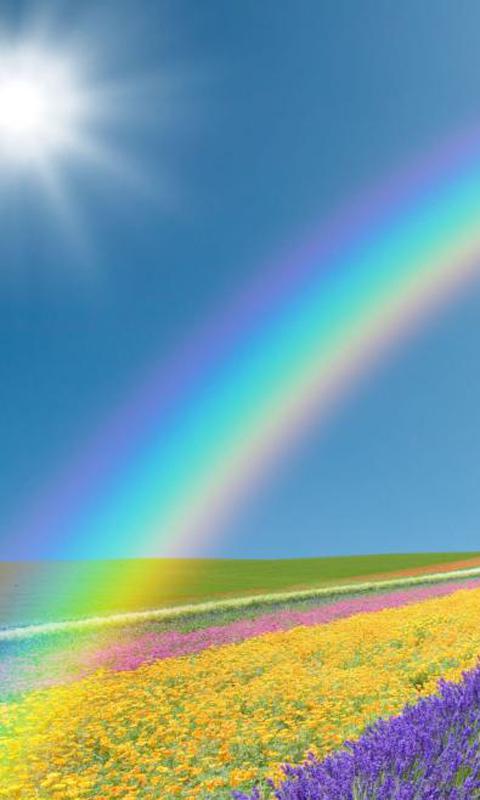 阳光与彩虹同在手机壁纸