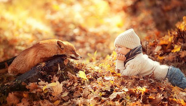 孩子与动物的梦与爱图片