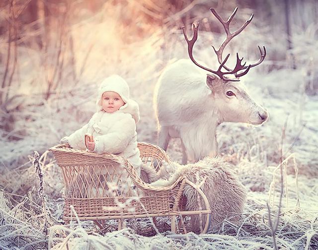 孩子与动物的梦与爱图片