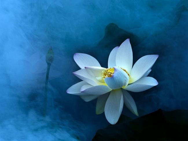 唯美蓝色优雅背景图片