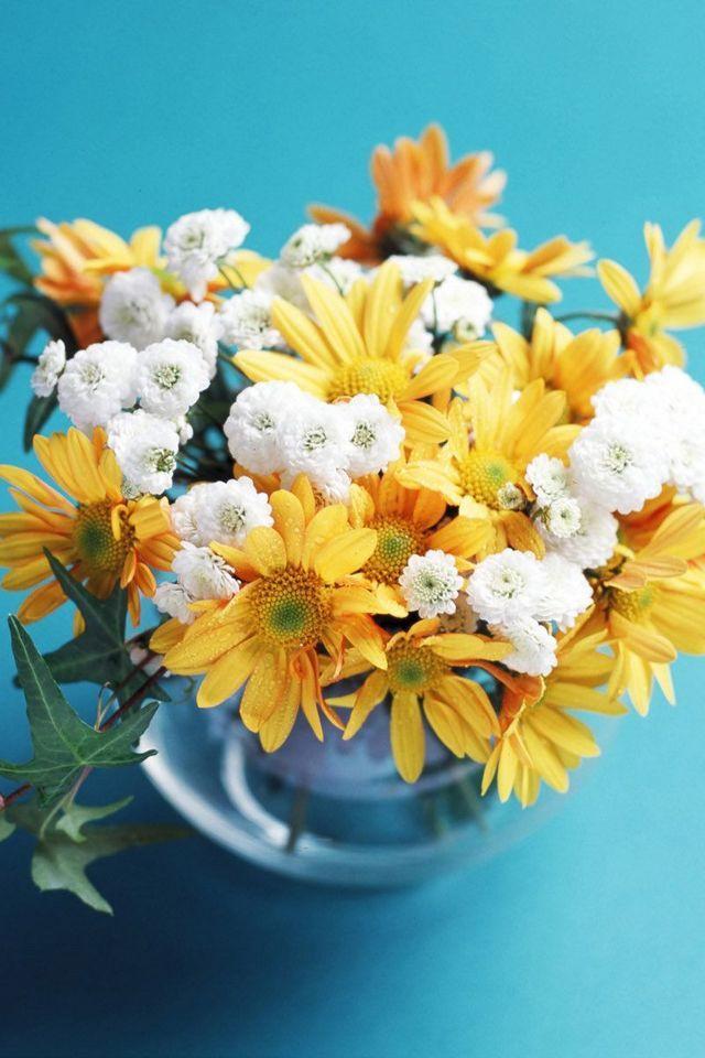 小清新花卉手机壁纸