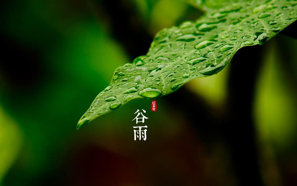 二十四节气之谷雨桌面壁纸