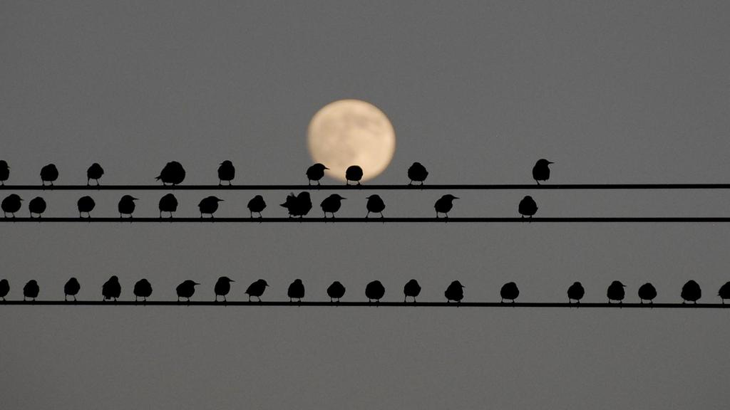 月亮之上桌面壁纸