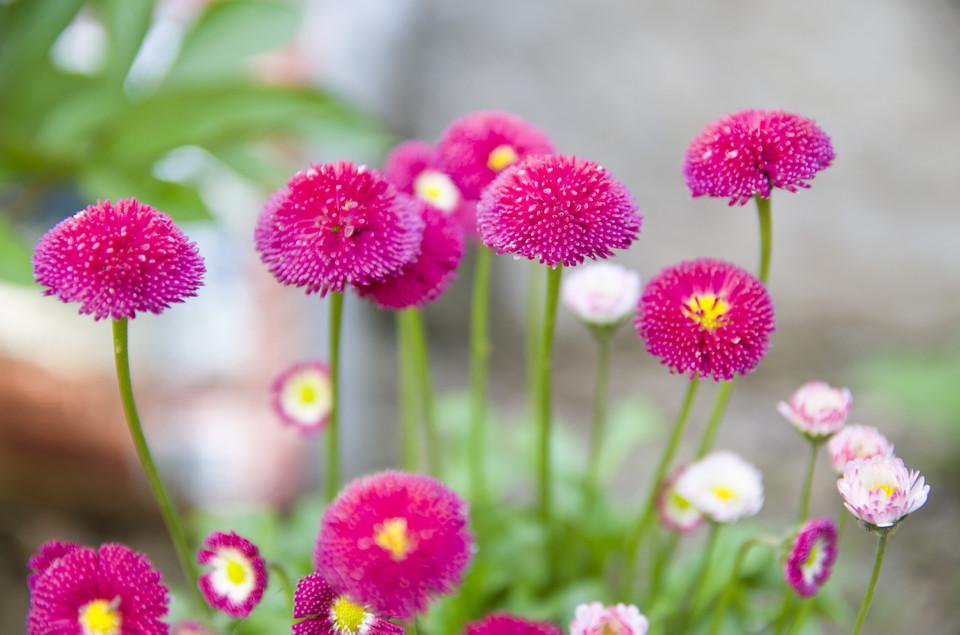 不经意的美景图片