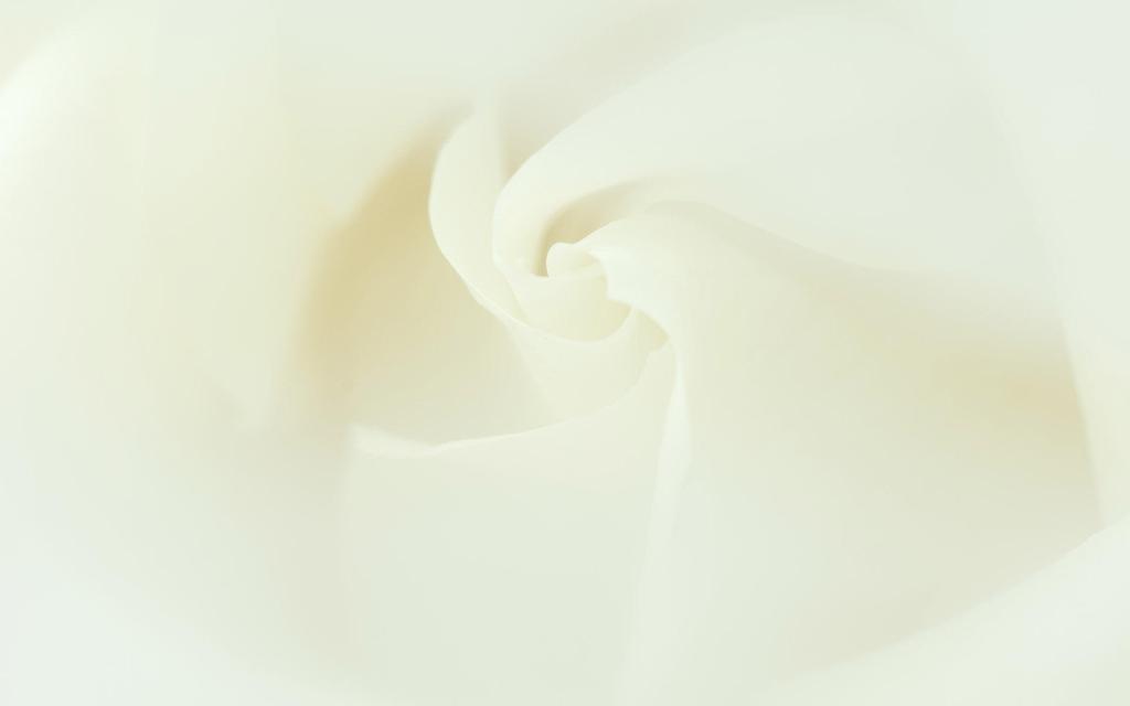 微距静物特写桌面壁纸