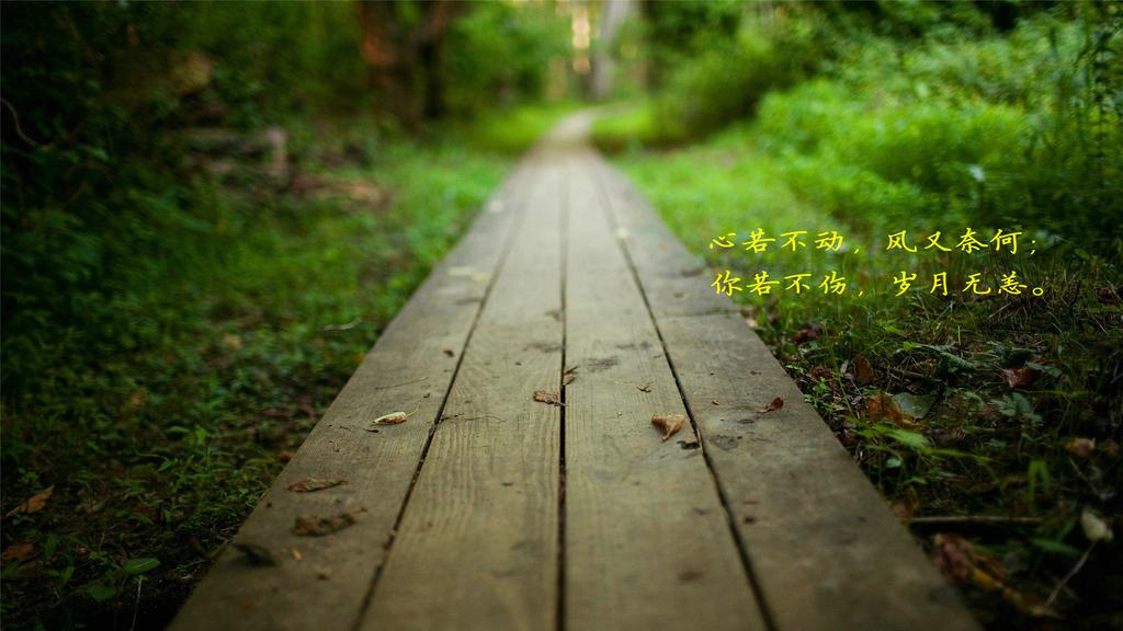 爱情的箴言高清精美桌面壁纸