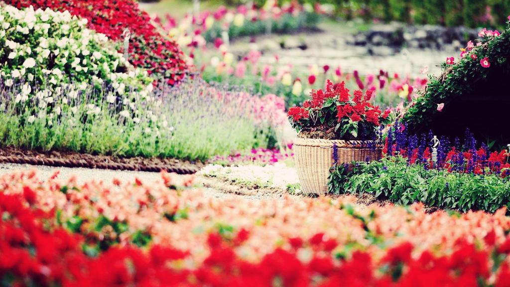 lomo阳光小清新壁纸