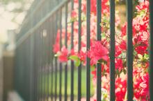 午后阳光温暖意境壁纸