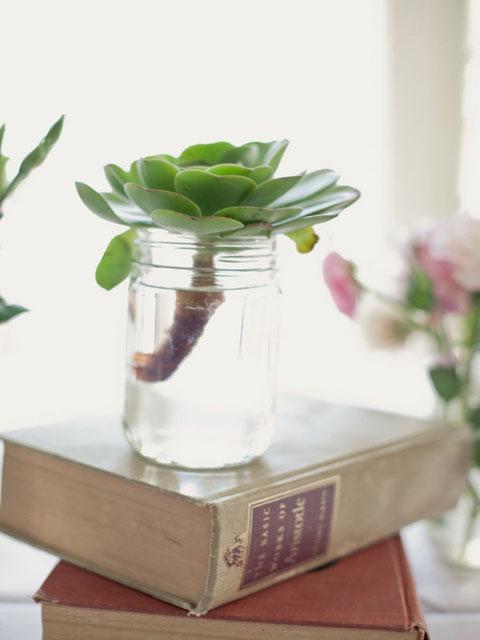 清爽绿色的小清新植物手机壁纸