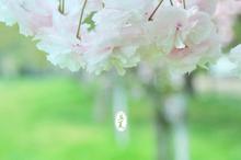 24节气之立夏桌面壁纸