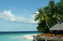 塔西提岛风景手机壁纸