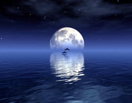 唯美月亮晚安图片