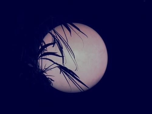 唯美月亮晚安图片