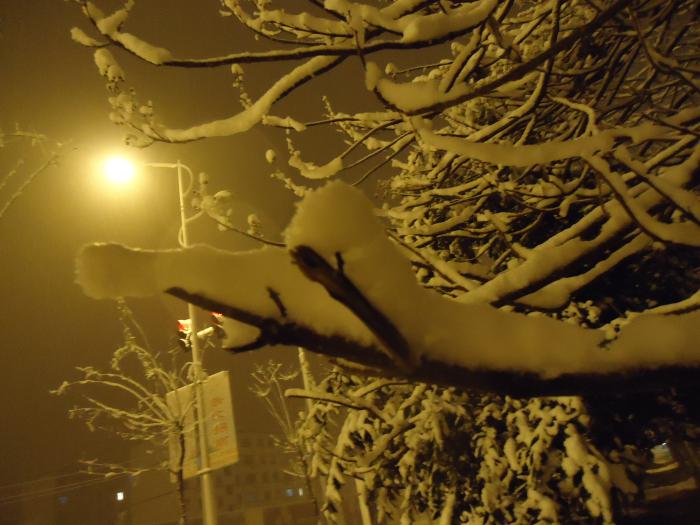 唯美伤感夜晚路灯图片
