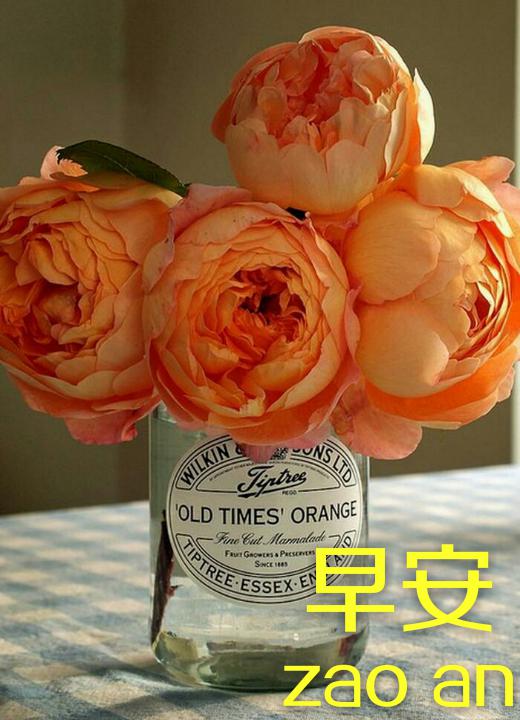 早安心语带文字图片