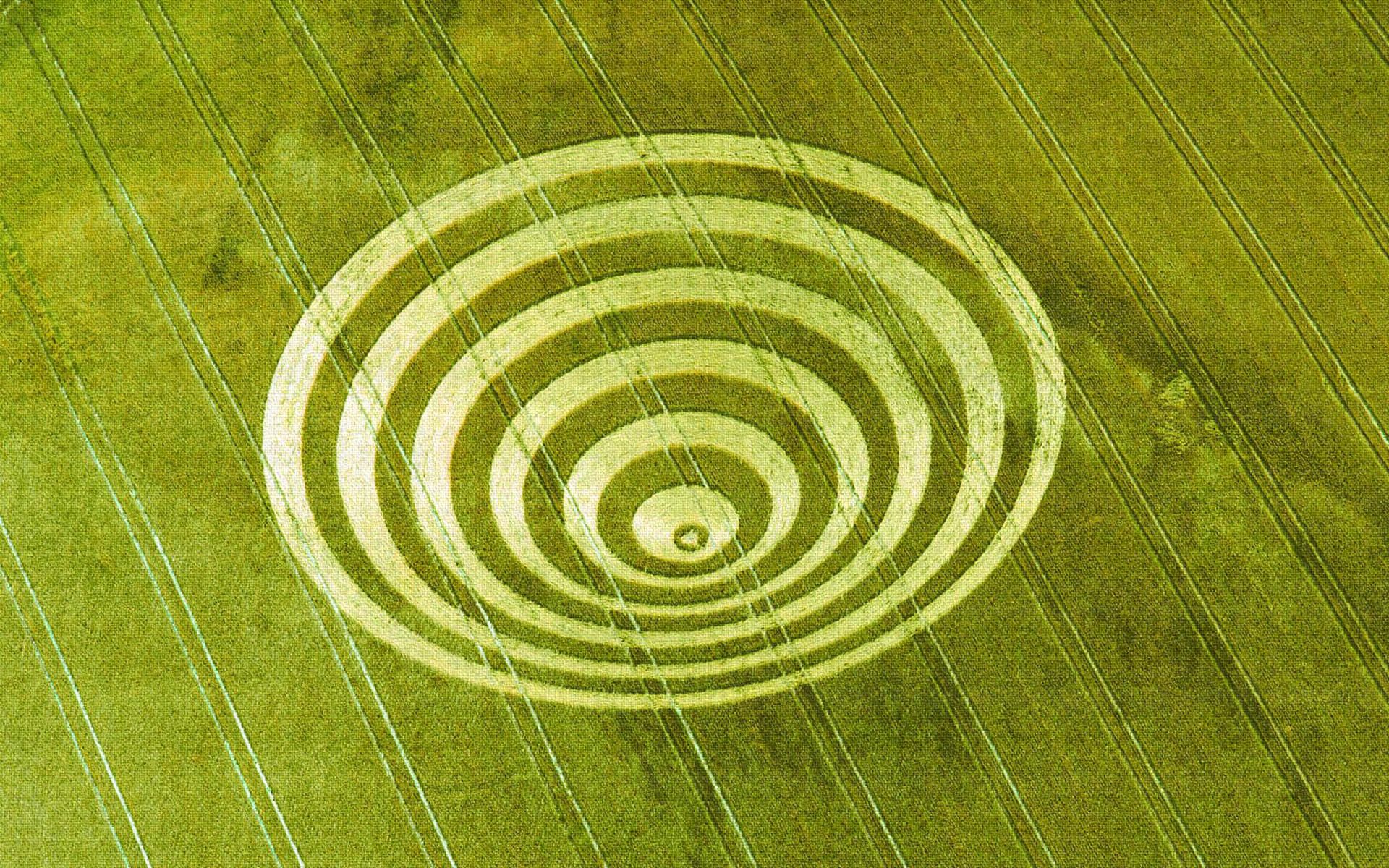 > || 更新时间:2015-05-15 颜色分 绿色 关键词:  麦田怪圈 绿色 图案