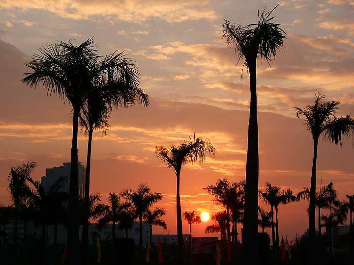 城市最美的日出图片