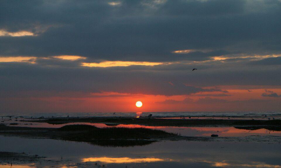 青海湖黑马河日出图片