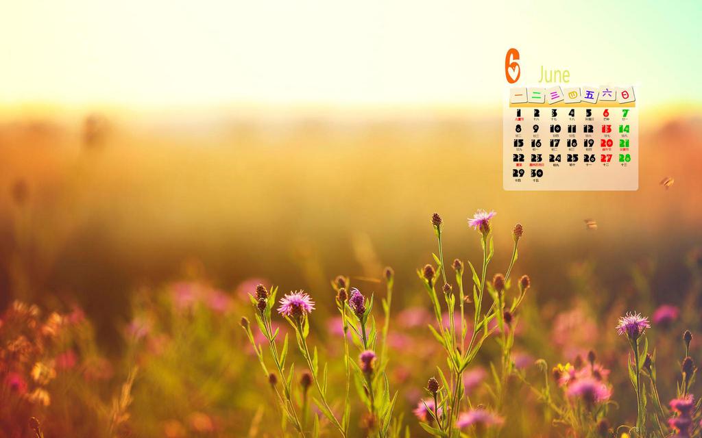 2015年6月日历唯美植物壁纸