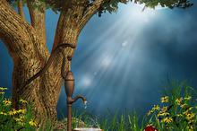 梦幻的童话森林意境图片