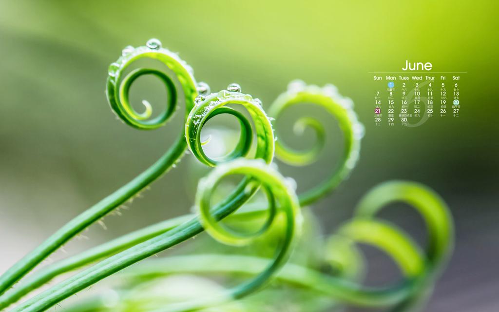2015年6月绿色护眼日历壁纸