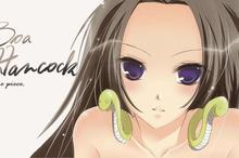 海贼王海贼女帝动漫壁纸