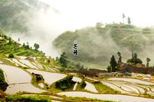 二十四节气之芒种壁纸