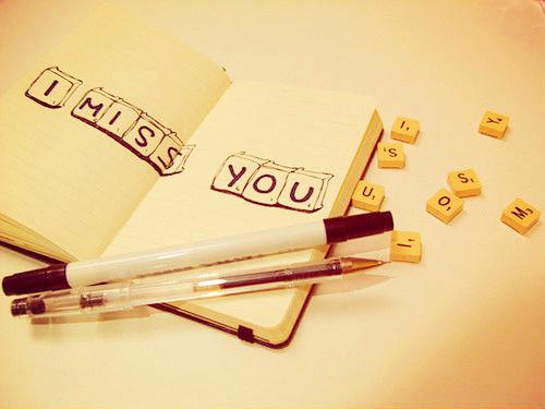 好看可爱的静物图片