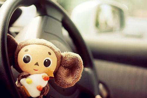 好看可爱的静物图片