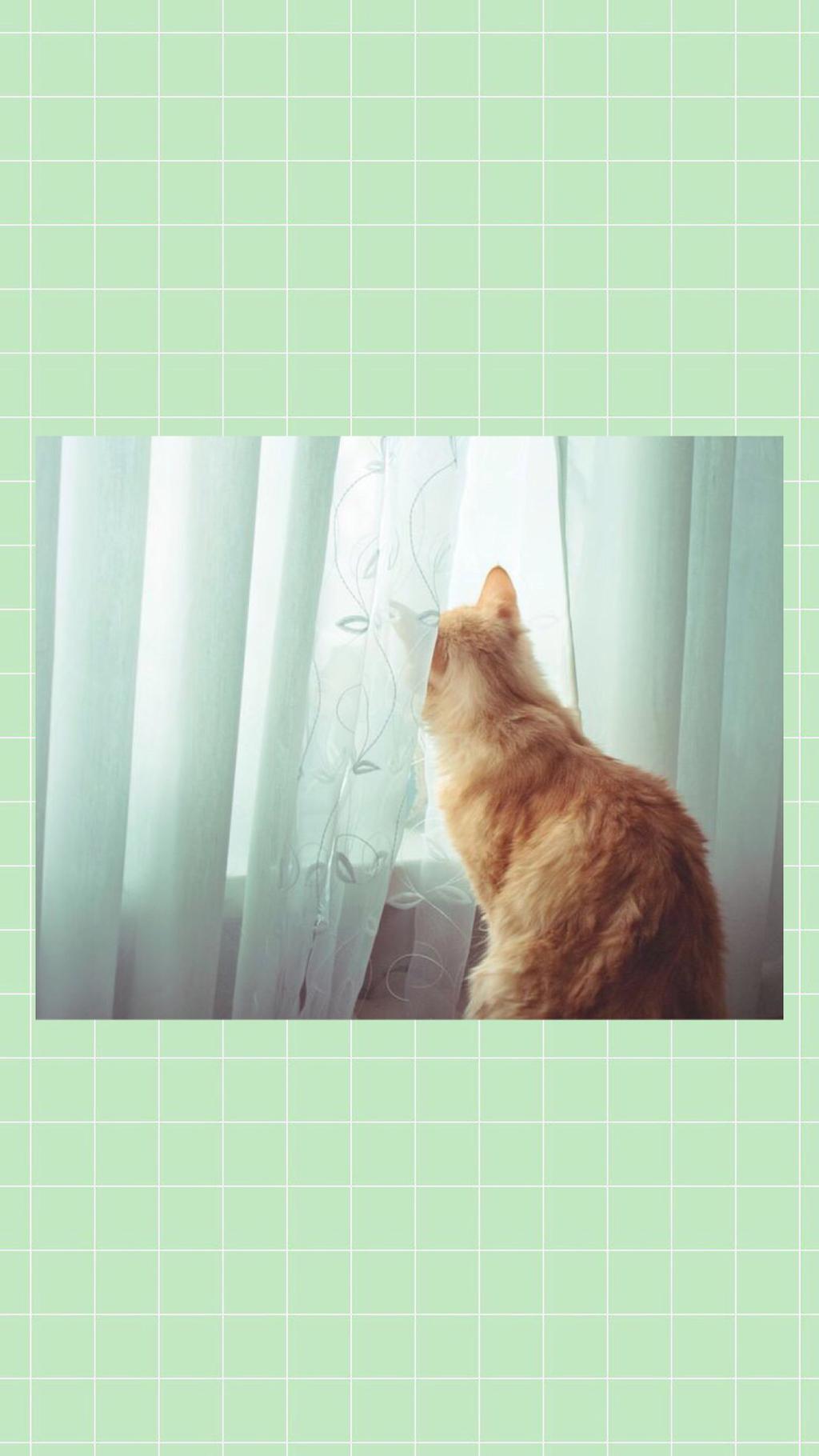 薄荷绿创意清新手机壁纸