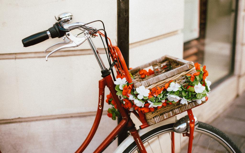 唯美清新花卉壁纸