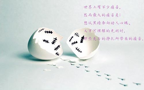 励志鸡汤文字图片
