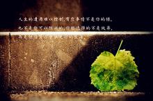 励志鸡汤文字图片