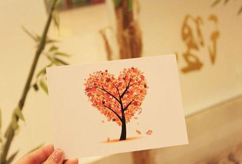 远方的想念明信片图片