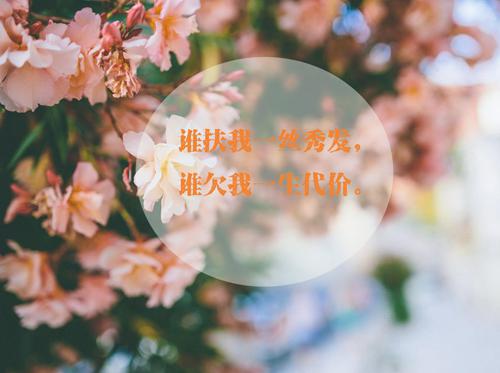 心情随笔文字图片